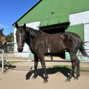 나우목장 이미지