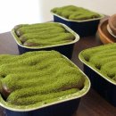라온떡빵 | [수업후기] 그러케이크샵 비건베이킹 클래스 수업후기 (*'▽'*)