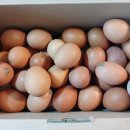 해샘찬농장 이미지