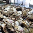 세대공감 트로트SHOW 이미지