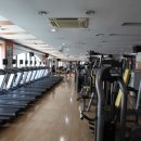 통영파라스파 이미지