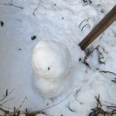 더바디2.0의원 이미지