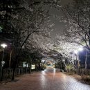 반계근린공원 이미지