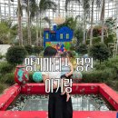 오색기획 - 김해시 가락로15번길 32 | 세종 전시, 국립세종수목원 앙리 마티스 오색정원 (16개월 아기랑)