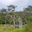 큰나무몰 이미지