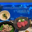 빛과 한우 | 광교 갤러리아 맛집 <수린광교>｜아쿠아플라넷 뷰 한우 오마카세, 수린코스 후기