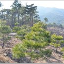 신기산업 이미지