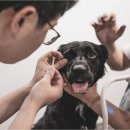 원탑병원 이미지