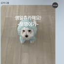 또깡 | 또깡 제주 2