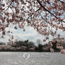 제주 와싱톤 이미지