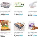 피터펫카페 가덕도점 이미지