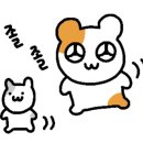 보광수제만두 이미지