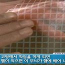 스모그 햄의 격자무늬, 착색필름으로 만들었다고? 이미지