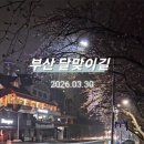 부산우동점 굽네치킨 네이버블로그