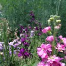 동두천역 이미지