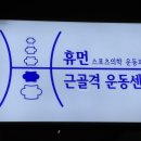 의정부 민락동체형교정PT 휴먼근골격운동센터 브릿지운동솔루션