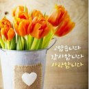 아침인사 (이미지) 이미지