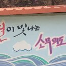 뗌리 이미지