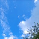 화왕산자연휴양림(창녕) 이미지