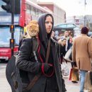 가방위에 고양이 이미지