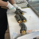 세상을누비는김밥 이미지