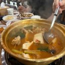 래빗하우스 B 이미지