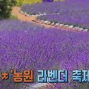 금종목장 이미지