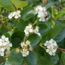 용기네 농장 이미지