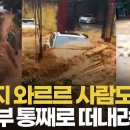 태풍 마이삭 덮친 중국 남부 초토화 이미지