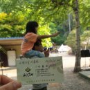 공작산계곡 오토캠핑장 이미지