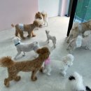 파브 퍼피 이미지