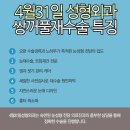 4월31일성형외과의원 이미지