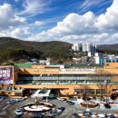 태백축산 이미지