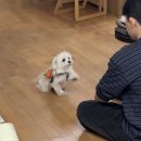 먹다 Daum카페