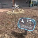 예산황새공원 주차장 | 충남 예산 갈만한 곳 스탬프 투어 황새공원