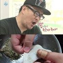 폭풍갈비 TV리포트