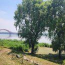 전곡행정사 이미지