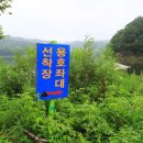 용호좌대낚시터 네이버블로그