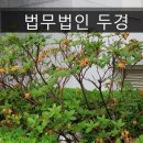 법무법인두경
