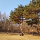 정발산공원 이미지