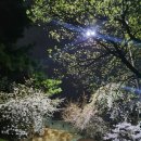 정조로 네이버블로그