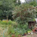 보리수미용실 이미지