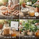 황금비료 네이버블로그