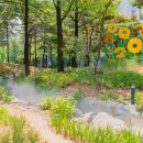 그늘막88 이미지