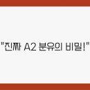 A2 이미지