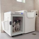 스테이위드독 이미지