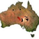 현지목장 이미지