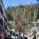 밴쿠버 딥코브 Deep Cove 등산, 가는 법, 허니도넛, 등산코스 ㅣ 캐나다 워홀