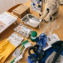 레코스타일 | 광명 이케아 구경 | 광명 가볼만한곳 실내 놀거리, 이케아 추천템