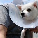 형곡동물병원 이미지